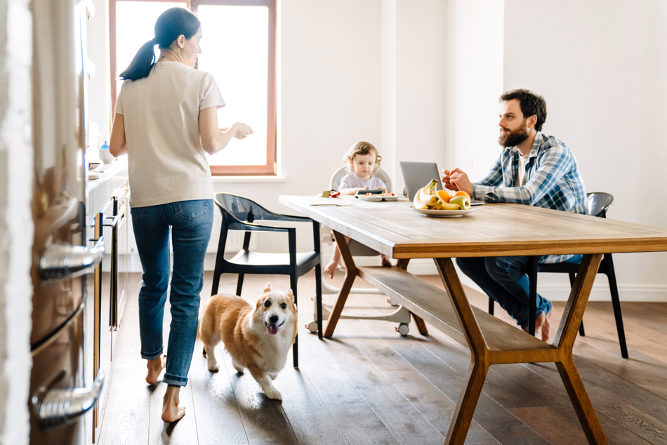 Un plan de financement qui se construit pendant la location