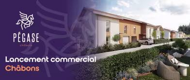 Lancement commercial Pégase